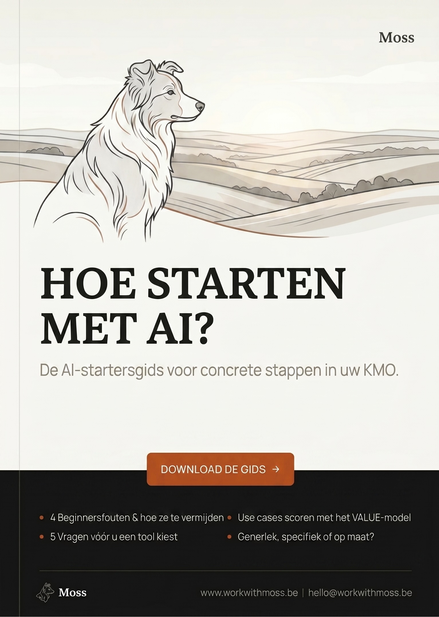Hoe starten met AI? — coverafbeelding